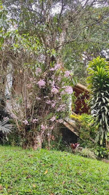 Casa Aconchegante Em Teresopolis Villa Exterior photo