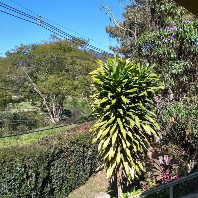 Casa Aconchegante Em Teresopolis Villa Exterior photo